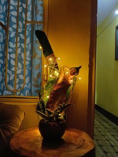 Cozy Nest Homestay - 1