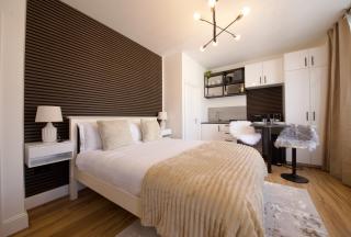 NEST SUITE Studio Flat in North London - 1