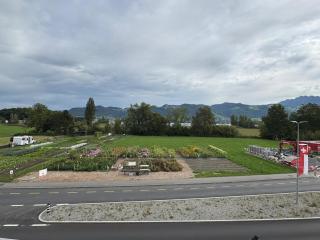Apartment Spiez - Lake view - 4
