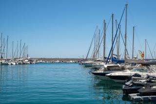 Palmeras Blue - 0