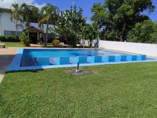 Natural Pool Villa perfect for families - 1