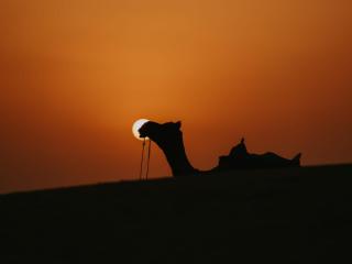 Rose View Guesthouse - 1