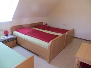 Rotes Ross - 9