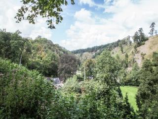 Durbuy Hillside Family Villa - 1