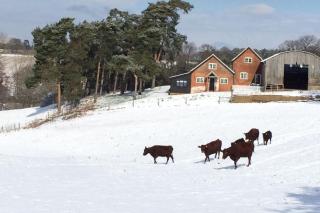 Lodge Farm - 9