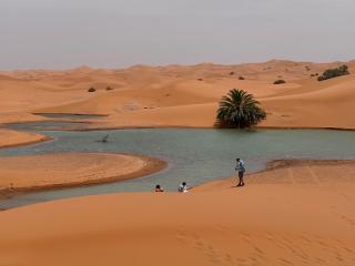 Golden sand luxury camp - 0