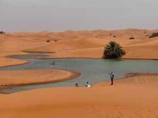Golden sand luxury camp - 3