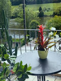 Ferienwohnung Moselblick Zell - Balkon und Gemeinschaftsterrasse - 0