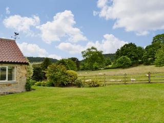 Bilsdale - 25566 - 1