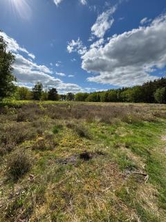 Chalet with nice garden in Anloo - 5