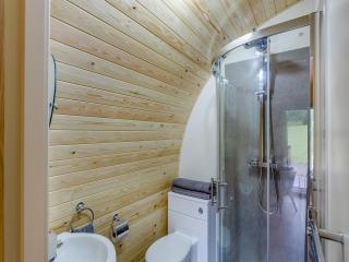 Elm-Uk36259 - 2