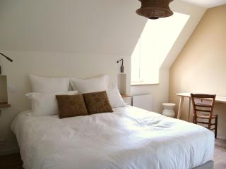 Le bois salé - Maison de charme dans le parc du Domaine du Cloitre - 3