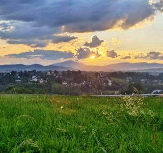 Pod Jednym Dachem - 0