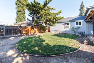 Blueground Centennial BBQ nr Red Morton Park SFO-1855 - 3