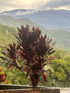 Finca el porvenir - 1