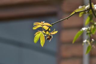 Cabañas Los Horneros - 1