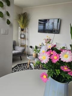 Departamento- al costado Del hospital regional- cercano a safari - panamericana 5 - parking privado - wifi - 2 hab -2 Baños - 7