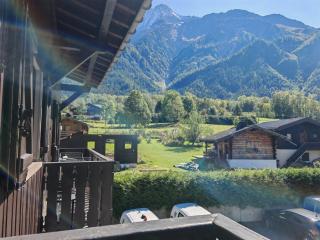 Beau duplex lumineux à la montagne Nice flat just underneath MtBlanc - 5