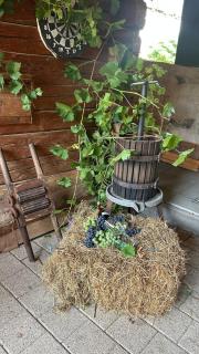 Casa veche “Old house” - 7