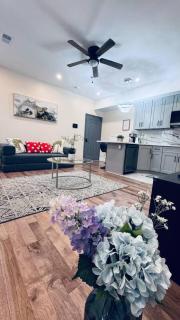 Brand New Apt w Washer Dryer Kitchen Rainfall in Chinatown - 8