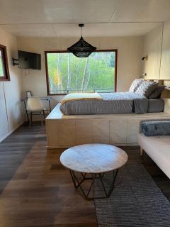 Tiny house río Calle Calle - 8