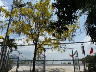 Hương Tràm Homestay - 9