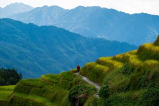 Longsheng Longji Rice Terraces Jingyue Hotel 龙胜龙脊梯田境悦酒店 - 9