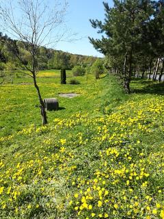 Zacisze Nad Stawami - 4