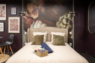 Deluxe Studio, Dark Floral, jacuzzi, Parking Gratuit, MULHOUSE CENTRE - 7