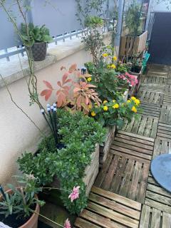 Pavillon 50 m² avec terrasse - 7
