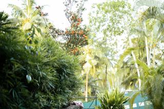 Calm Villa - 6