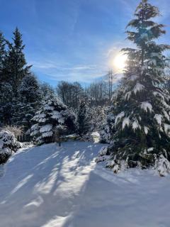 Zlatá Chalupa Heřmanovice - 3