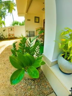 Awesome Guest Mirissa - 1