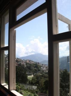 The Nettle and Fern Hotel Gangtok - Gangtok - 6