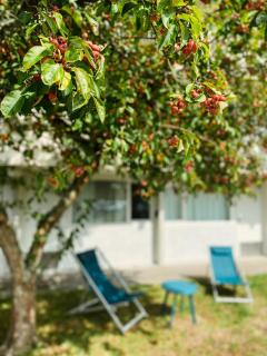 Brit Hotel Quimper Sud - 8