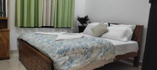 White Orchid - 6