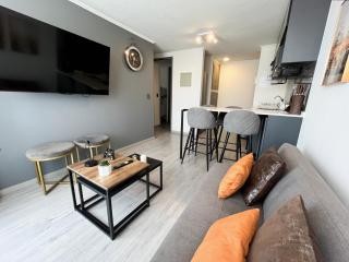Apartamento en Maule Ñuñoa, 2 habitaciones , Familiar - 6