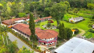 Dreamer Cocora - 9