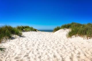 Appartementhaus Bracht - Juistine - 3