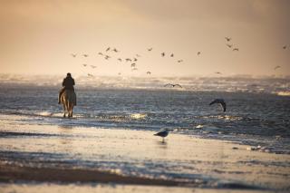 Appartementhaus Bracht - Leev - 2