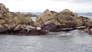 Chez Jeannine - Maison 2kms plage - 4