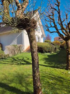 LE PARC DE JEANNE - 6