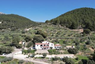 Pilar de la Sima casa rural Arguellite Yeste - 4