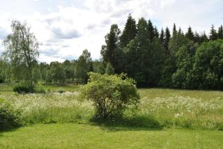 Orsastuguthyrning-Oljonsbyn - Orsa - 9