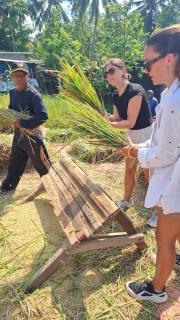 Bamboo Craft Homestay - 6
