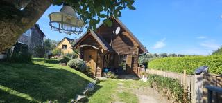 Ferienhaus-wurzbach - 0