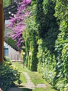 Garda Lake Dream view Terrace - 9