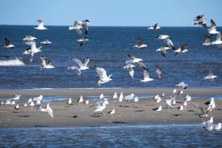 Appartementhaus Bracht - Kleine Woge - 2