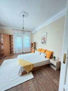 Damjanich Deluxe Apartman - 0