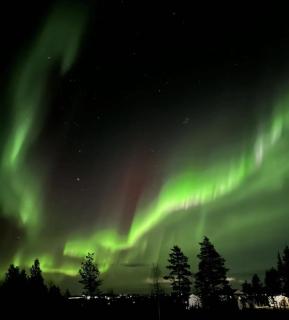 City Center Suite with sauna - 1